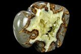 Calcite Crystal Filled, Polished Septarian Buffalo - Utah #123850-1